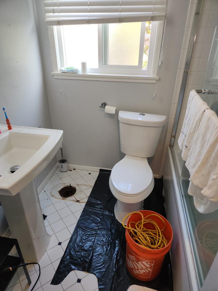Roto-Rooter Plumbing & Water Cleanup Image
