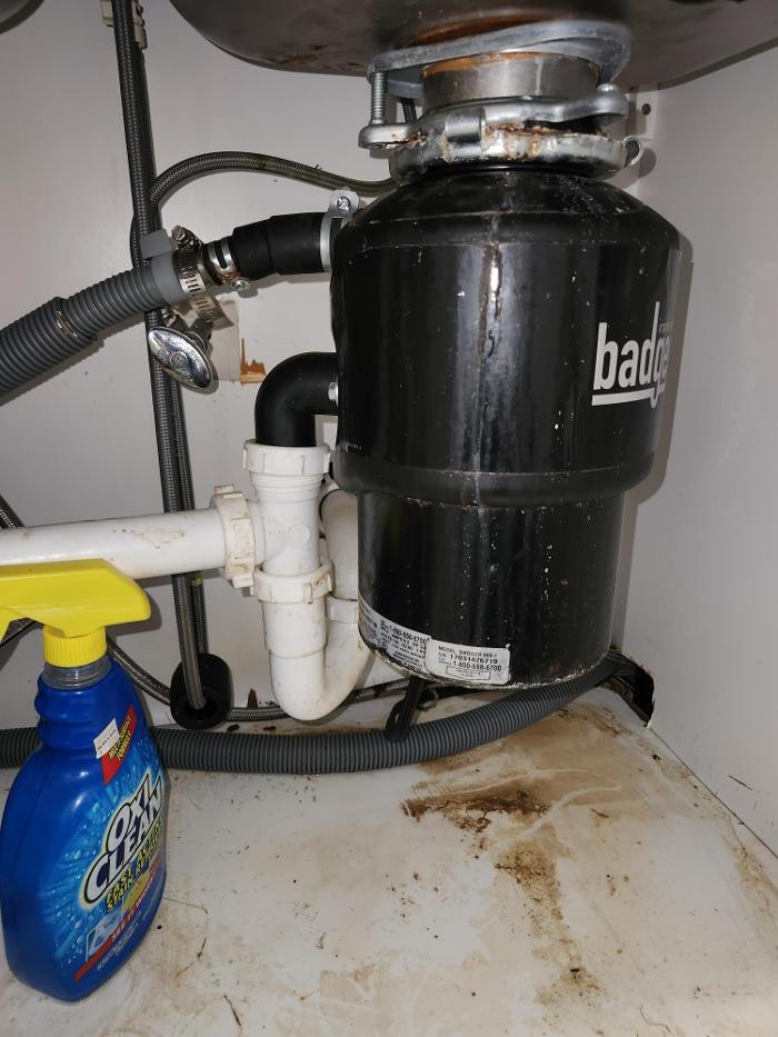 Roto-Rooter Plumbing & Water Cleanup Image