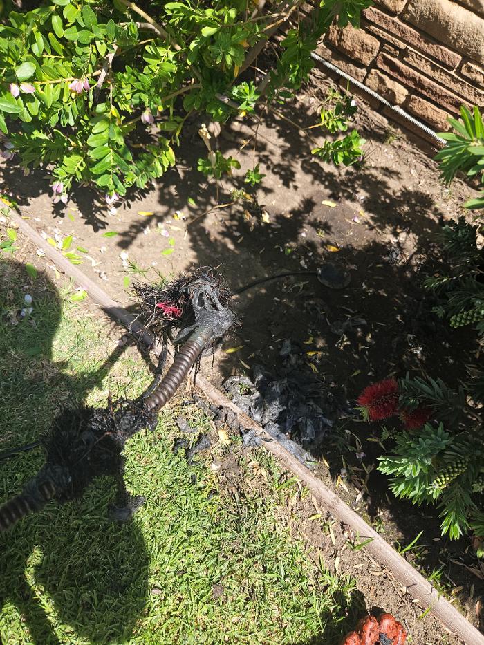 Roto-Rooter Plumbing & Water Cleanup Image
