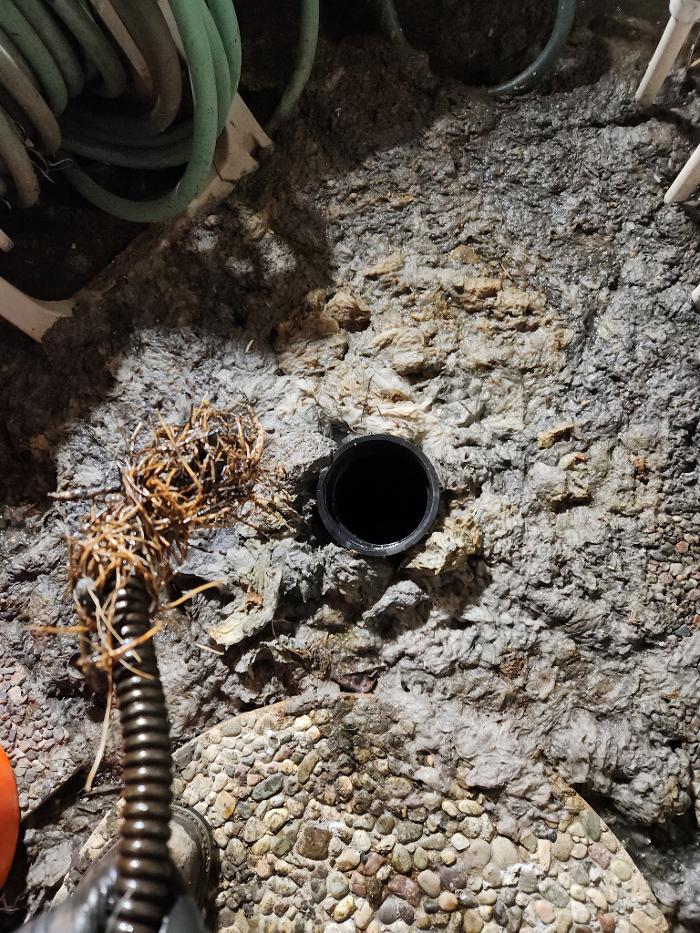Roto-Rooter Plumbing & Water Cleanup Image