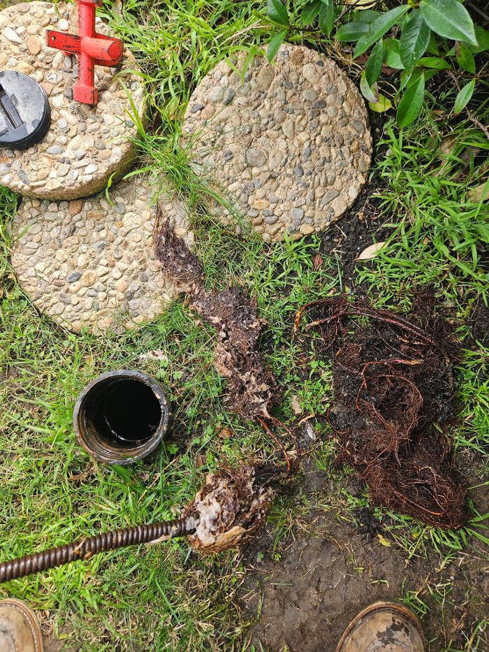 Roto-Rooter Plumbing & Water Cleanup Image