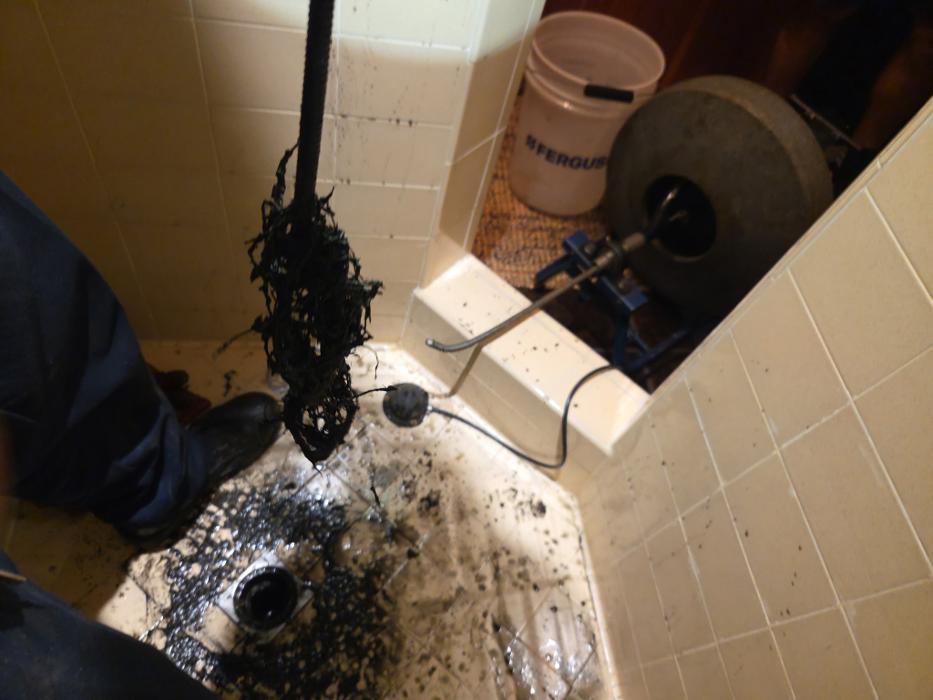 Roto-Rooter Plumbing & Water Cleanup Image