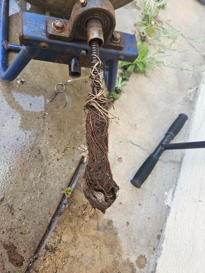 Roto-Rooter Plumbing & Water Cleanup Image