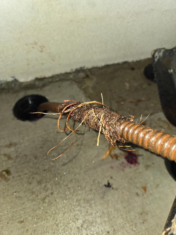 Roto-Rooter Plumbing & Water Cleanup Image
