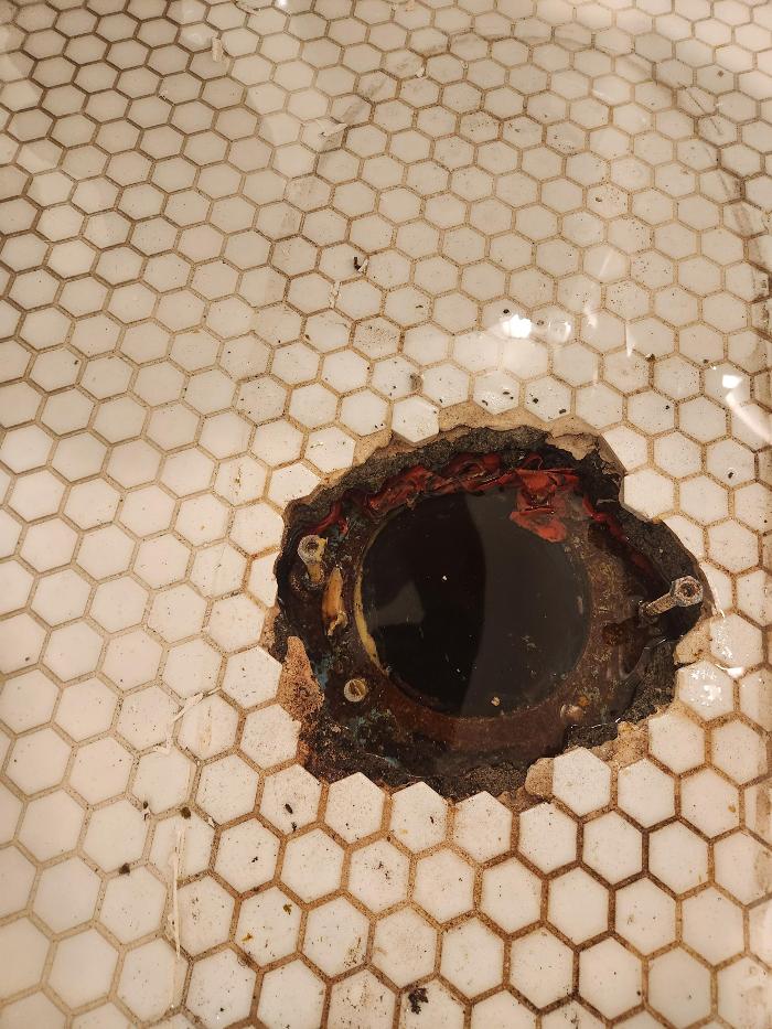 Roto-Rooter Plumbing & Water Cleanup Image