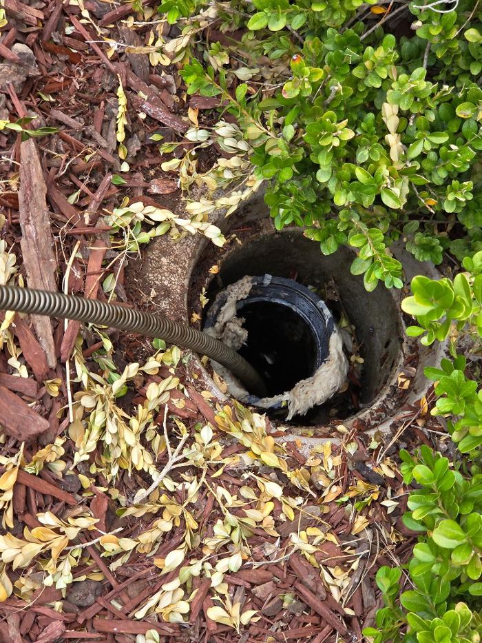 Roto-Rooter Plumbing & Water Cleanup Image