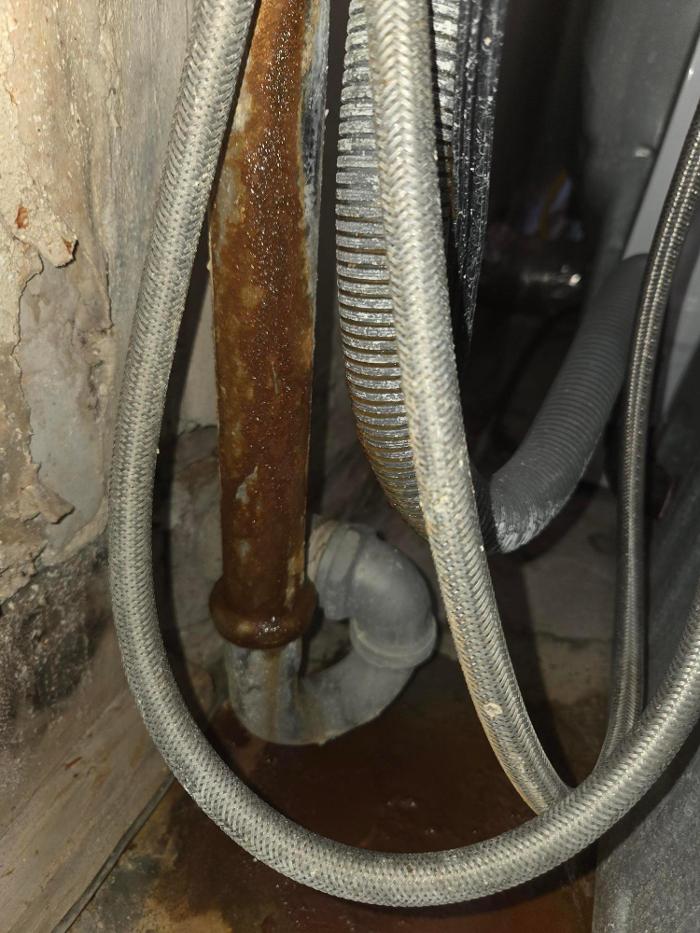 Roto-Rooter Plumbing & Water Cleanup Image