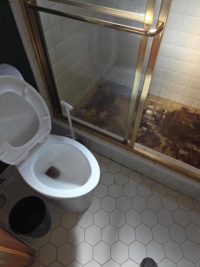 Roto-Rooter Plumbing & Water Cleanup Image