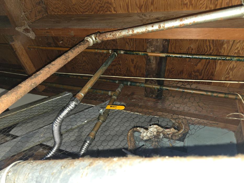 Roto-Rooter Plumbing & Water Cleanup Image