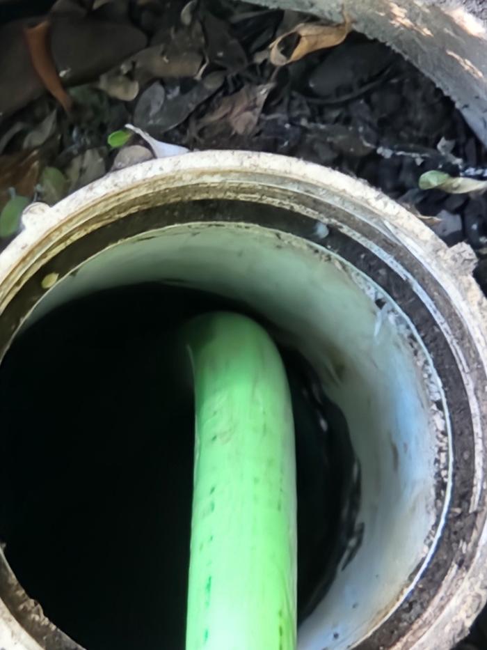 Roto-Rooter Plumbing & Water Cleanup Image