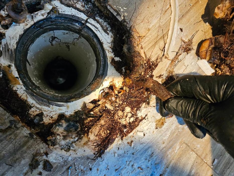 Roto-Rooter Plumbing & Water Cleanup Image