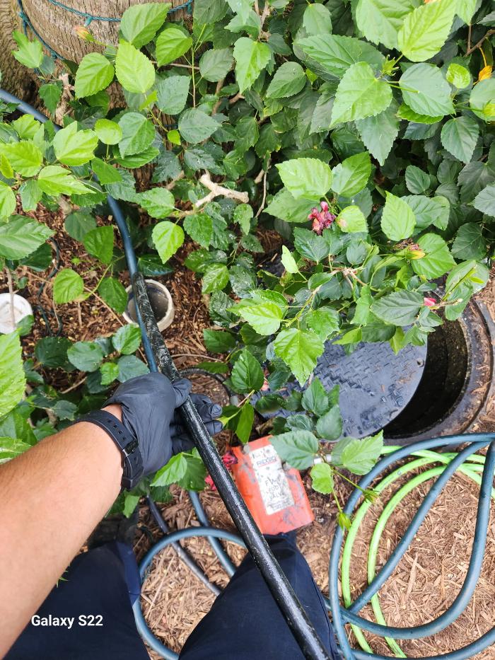 Roto-Rooter Plumbing & Water Cleanup Image