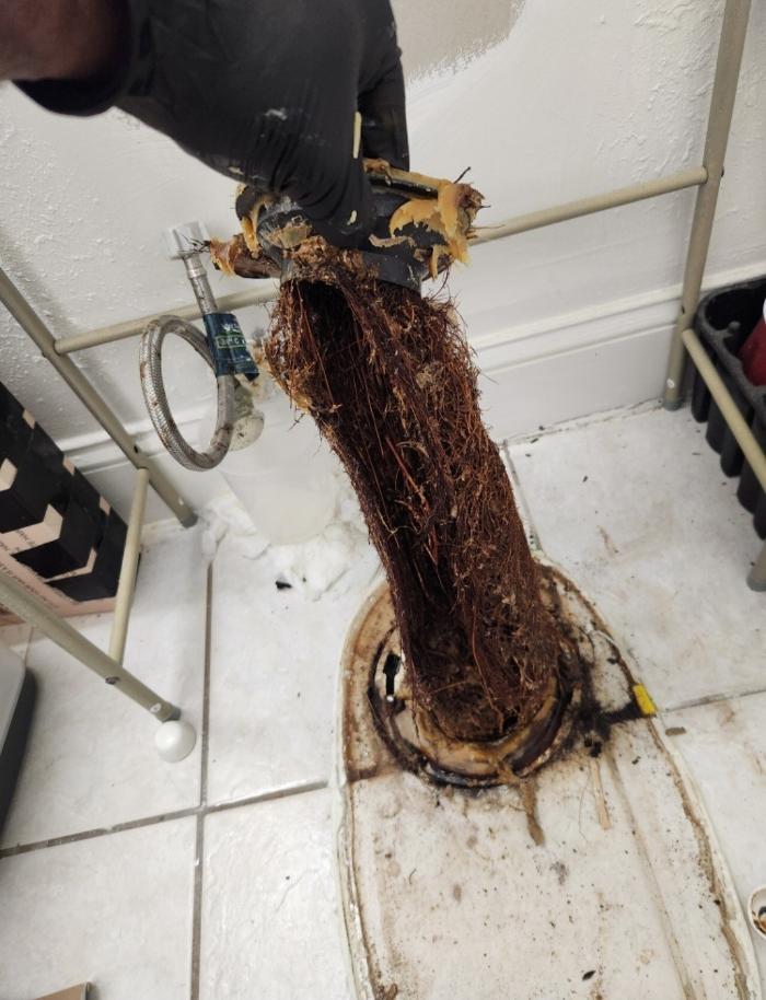 Roto-Rooter Plumbing & Water Cleanup Image