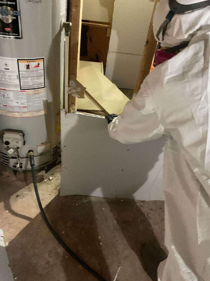 Roto-Rooter Plumbing & Water Cleanup