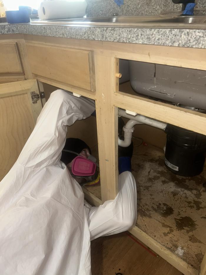 Roto-Rooter Plumbing & Water Cleanup Image