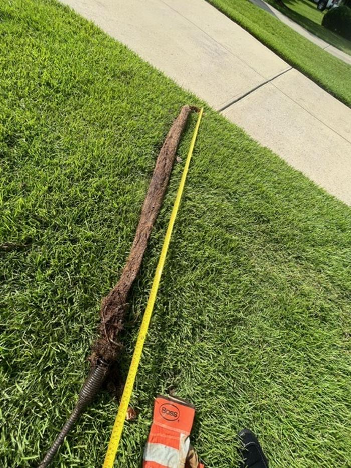 Roto-Rooter Plumbing & Water Cleanup Image