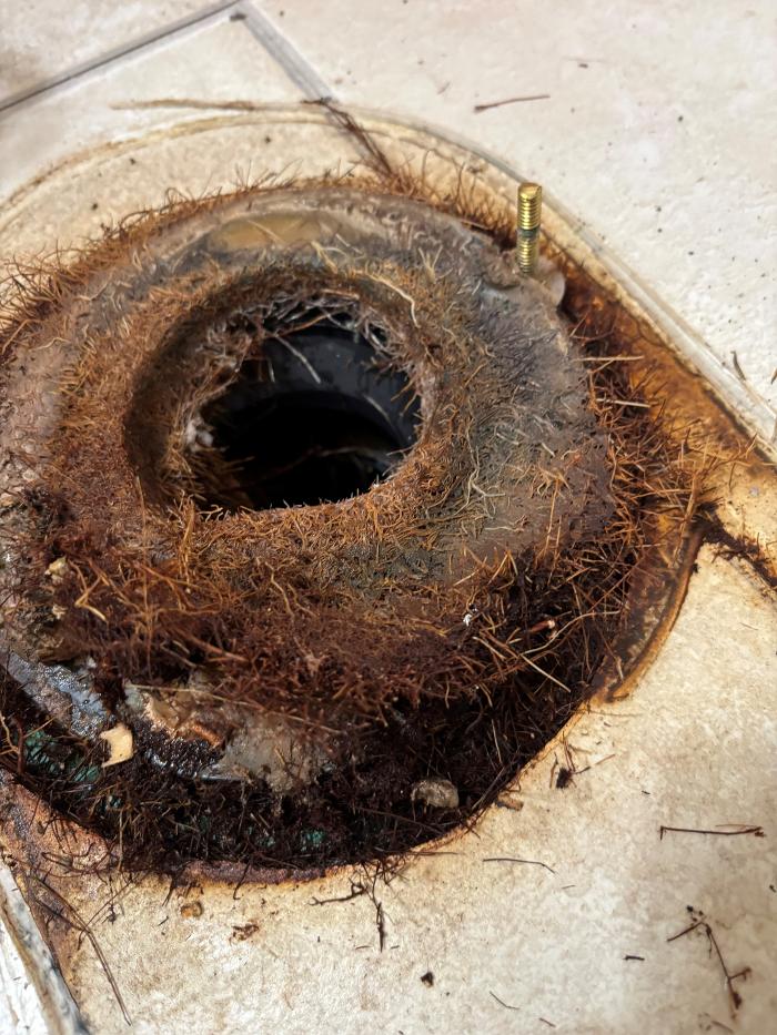 Roto-Rooter Plumbing & Water Cleanup Image
