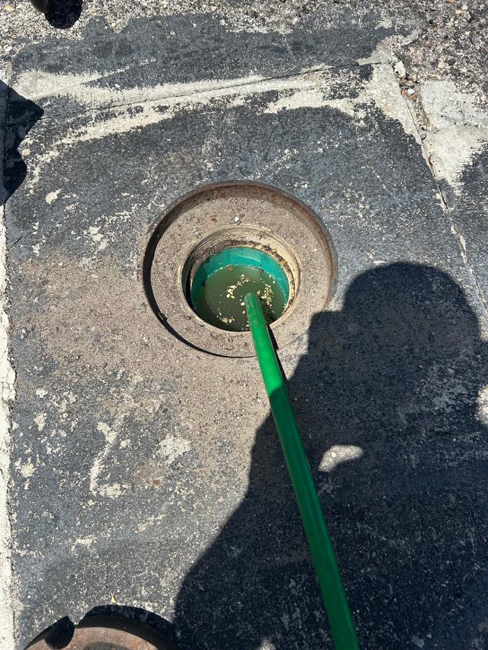 Roto-Rooter Plumbing & Drain Services Image