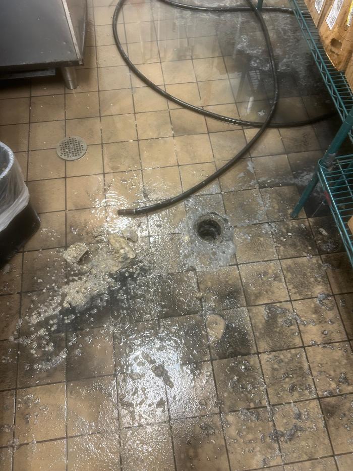 Roto-Rooter Plumbing & Drain Services Image