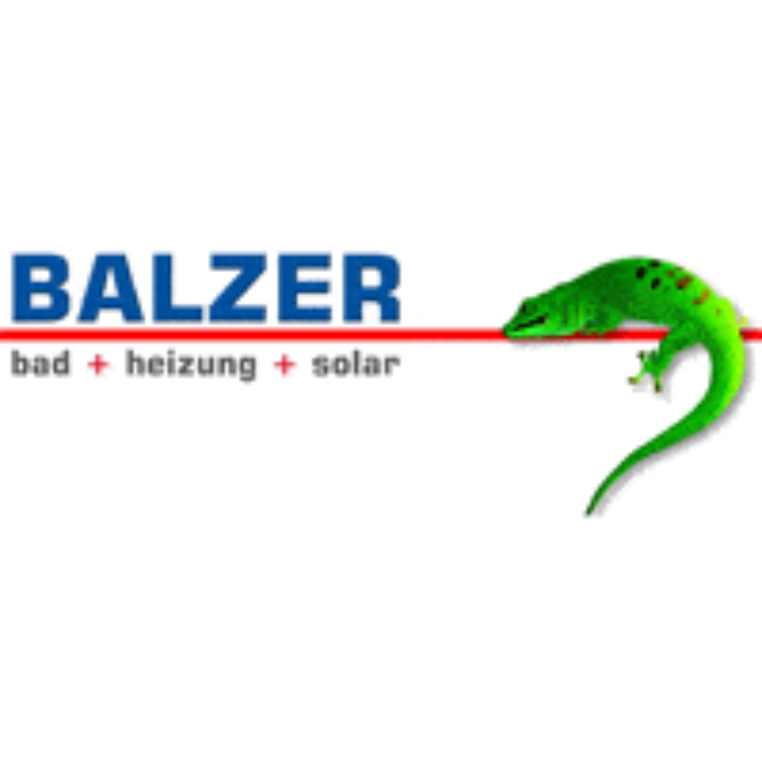 Matthias Balzer