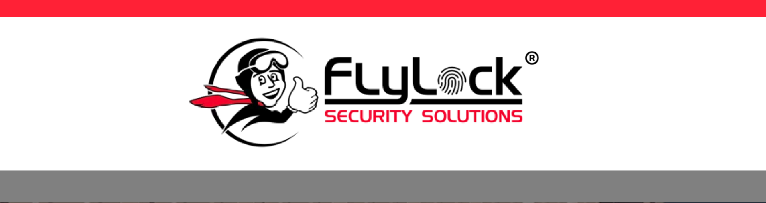 FlyLock Security Solutions