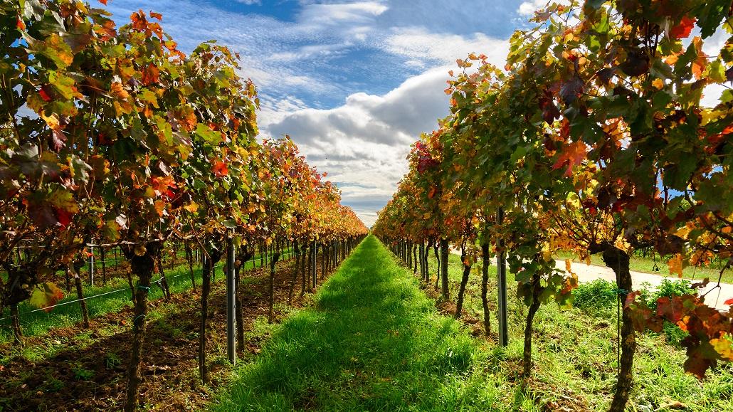 Ferienwohnug Annas Oase, Heerstraße in Meckenheim