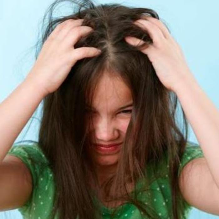 Lice Clinics of America - Rockville MD