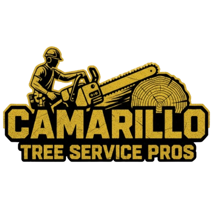 Camarillo Tree Service Pros