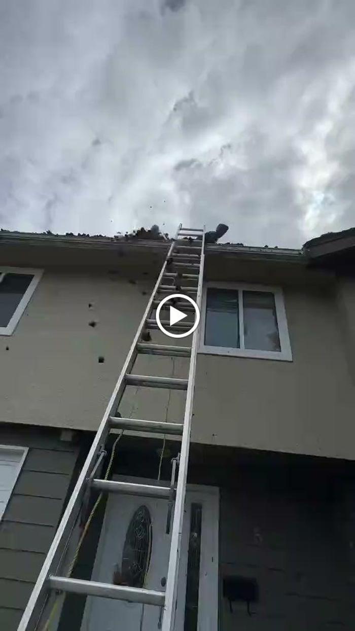 All Canadian Home Services