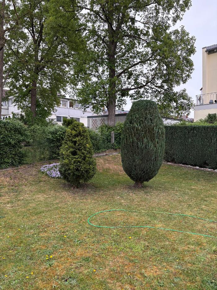 AMS Dienstleistungen, Thelottstraße in Augsburg