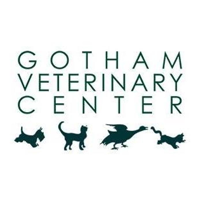 Gotham Veterinary Center