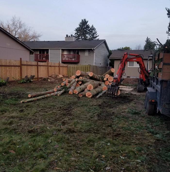 Shepherd's Tree Service and Excavation