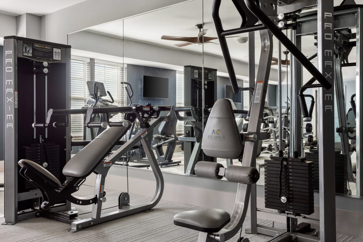 Circular Image