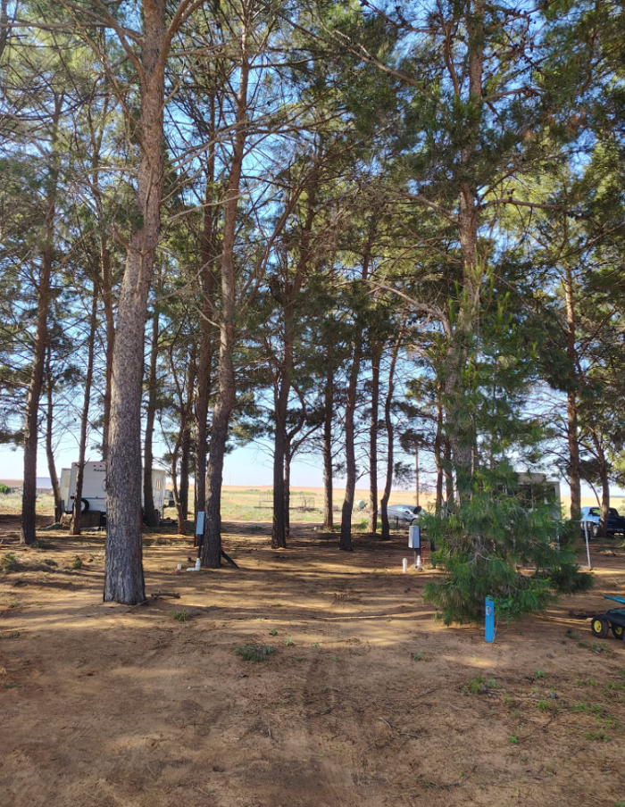 In The Pines RV Park