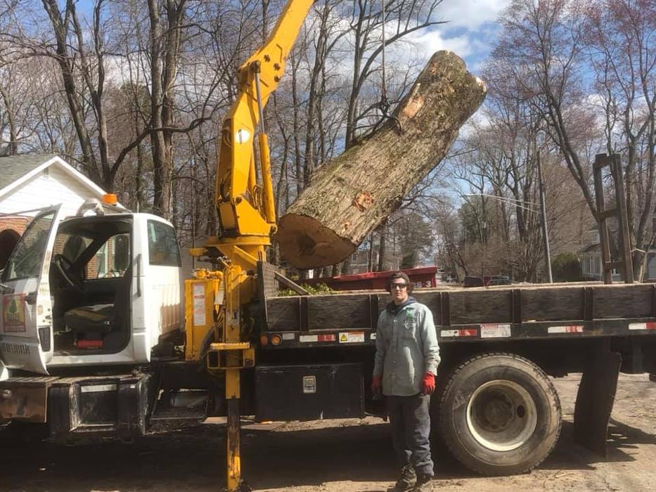 Barton's Tree Care