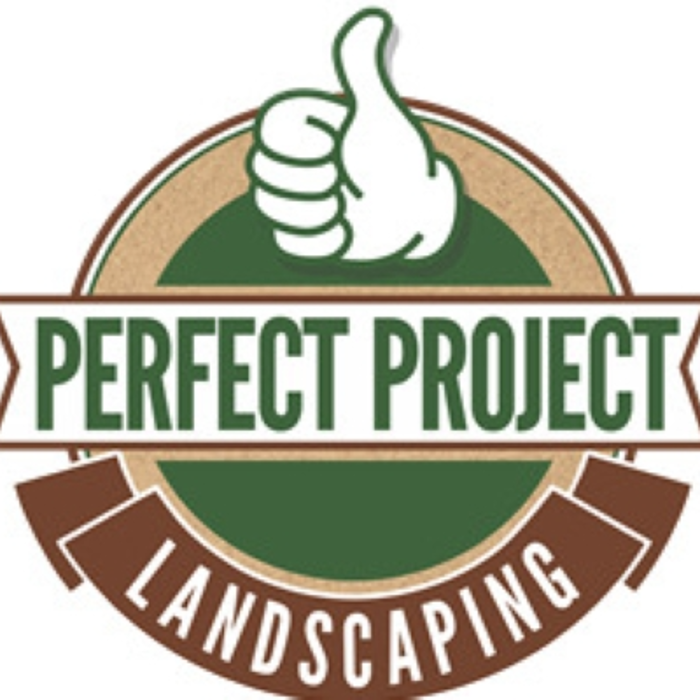 Perfect Project Stump Grinding & Yard Services Image
