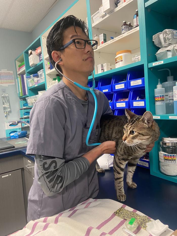 Lenity Vet Specialists + Emergency Care
