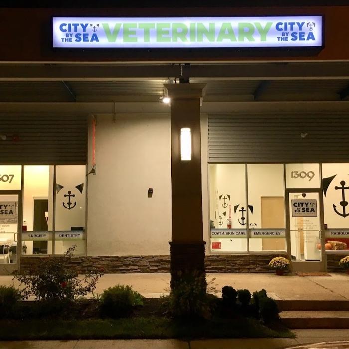 City By The Sea Veterinary