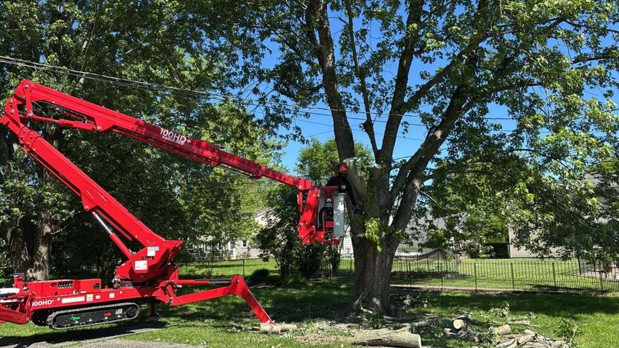 Professional Tree Trimming in Rochester, NY