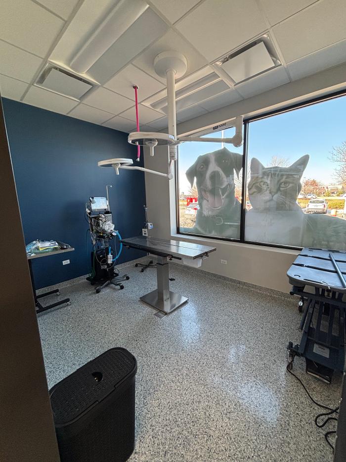 Pet Hospital of Naperville