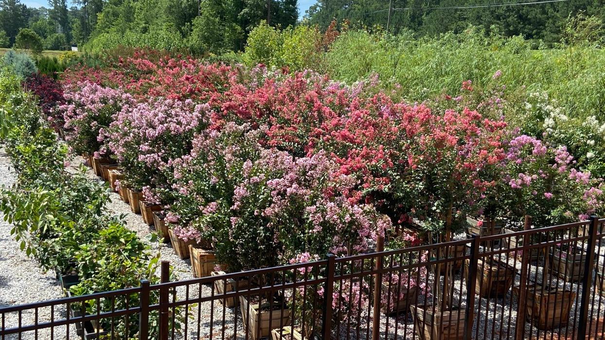 Moon Valley Nurseries