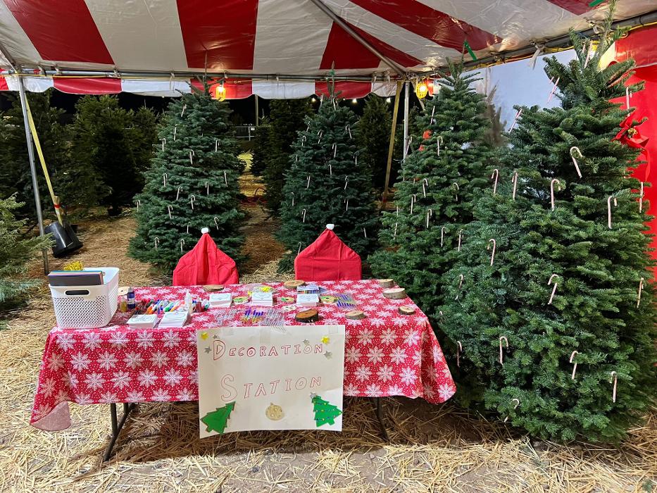 The Christmas Tree Lot at Moon Valley Nurseries - Surprise Image
