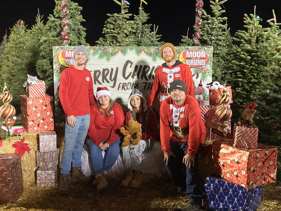 The Christmas Tree Lot at Moon Valley Nurseries - Surprise Image