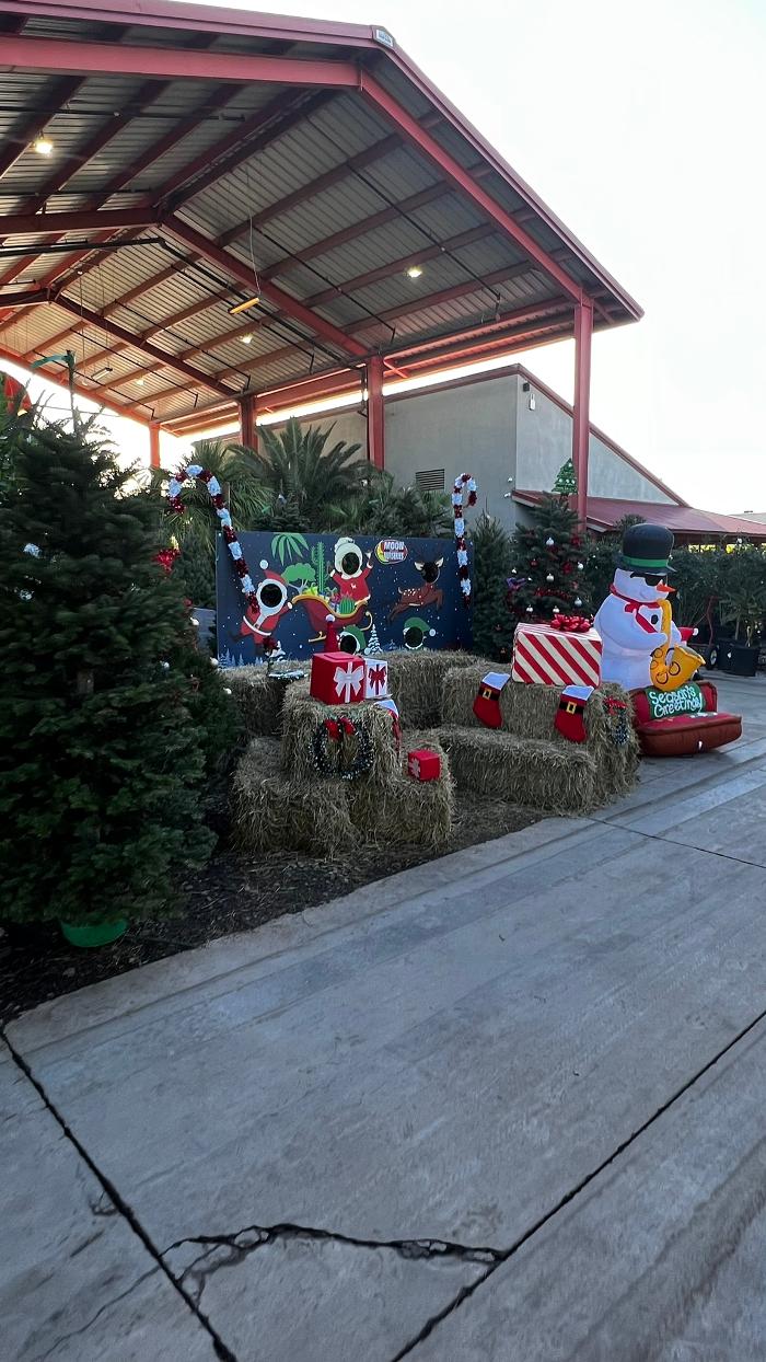 The Christmas Tree Lot at Moon Valley Nurseries - Surprise Image