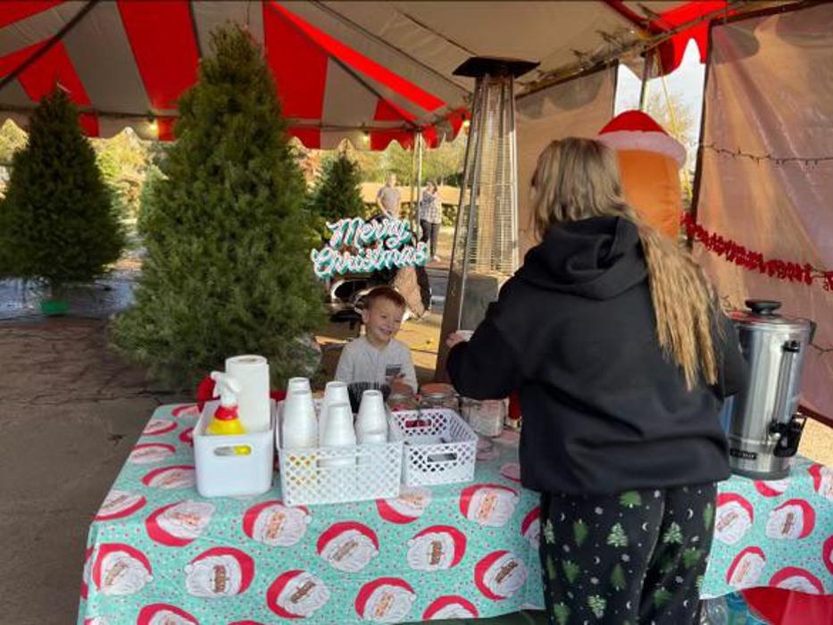 The Christmas Tree Lot at Moon Valley Nurseries - Surprise Image
