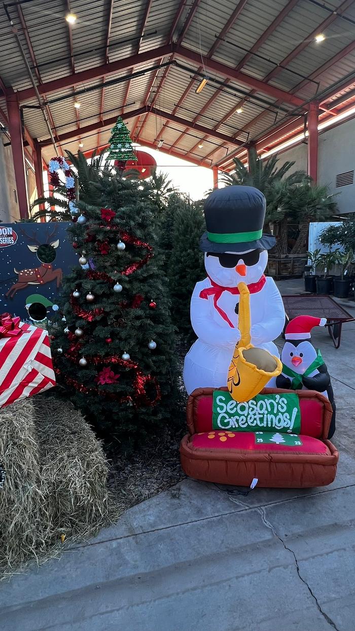 The Christmas Tree Lot at Moon Valley Nurseries - Surprise Image