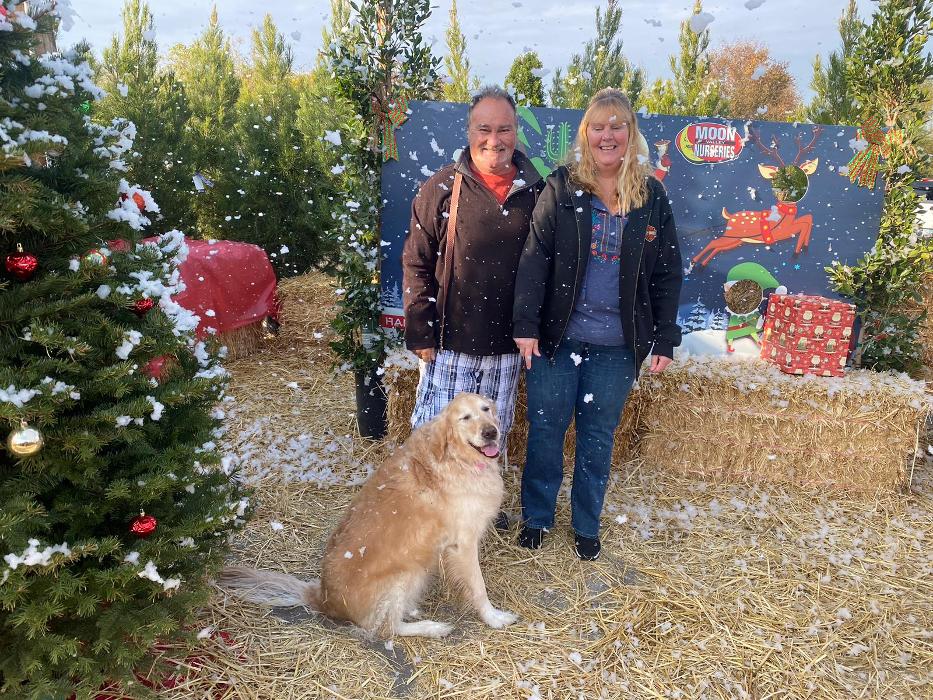 The Christmas Tree Lot at Moon Valley Nurseries - Surprise Image