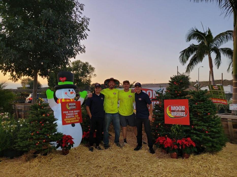 The Christmas Tree Lot at Moon Valley Nurseries - Surprise Image
