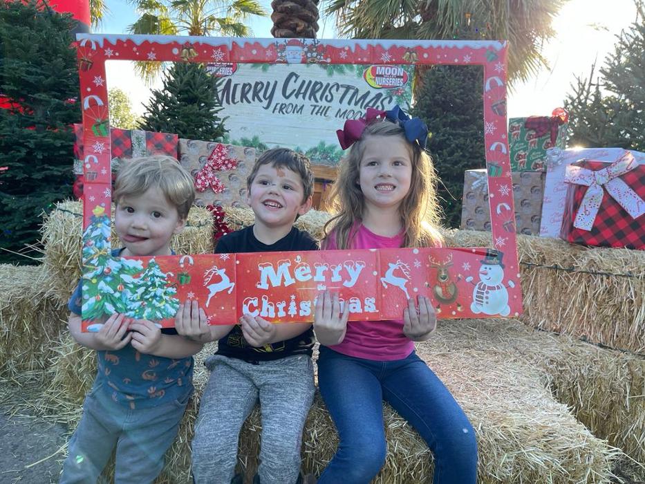 The Christmas Tree Lot at Moon Valley Nurseries - Surprise Image