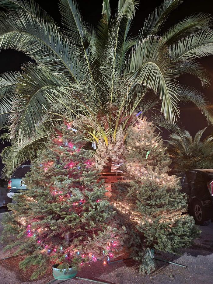The Christmas Tree Lot at Moon Valley Nurseries - Surprise Image